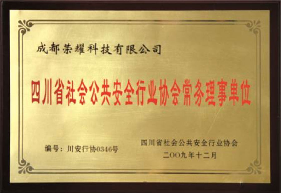 资质-安防常务理事